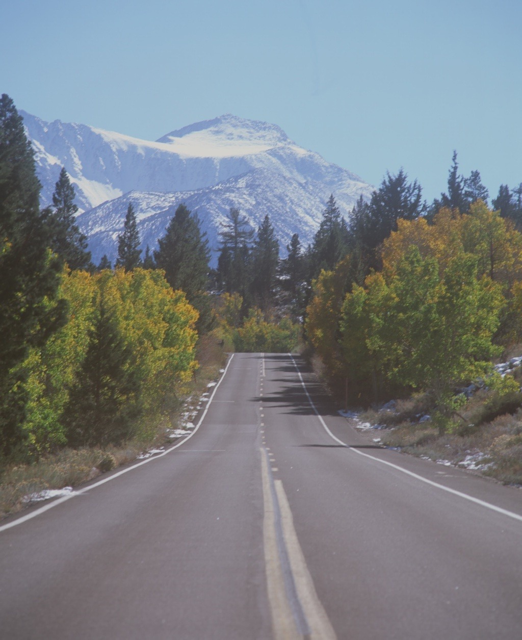 An empty road rising through autumn trees toward snowy mountains