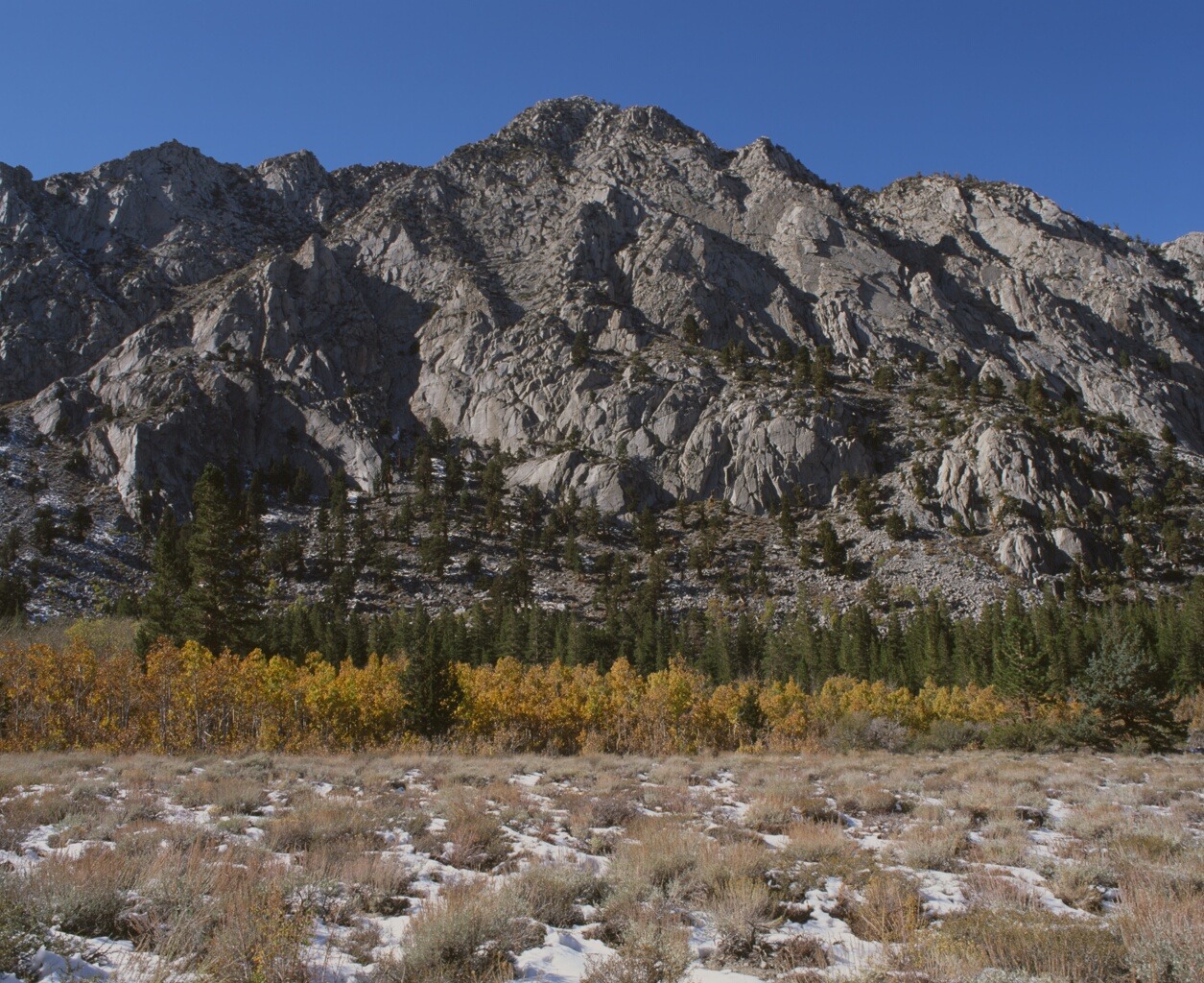 A jagged gray ridge above aspens and patches of snow